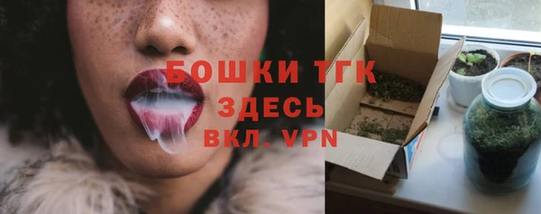 кокс Бородино
