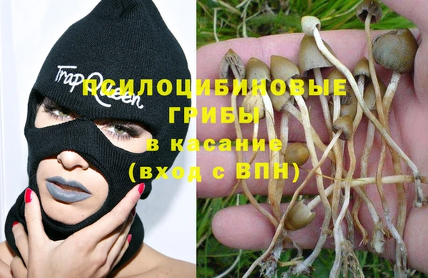 кокс Бородино